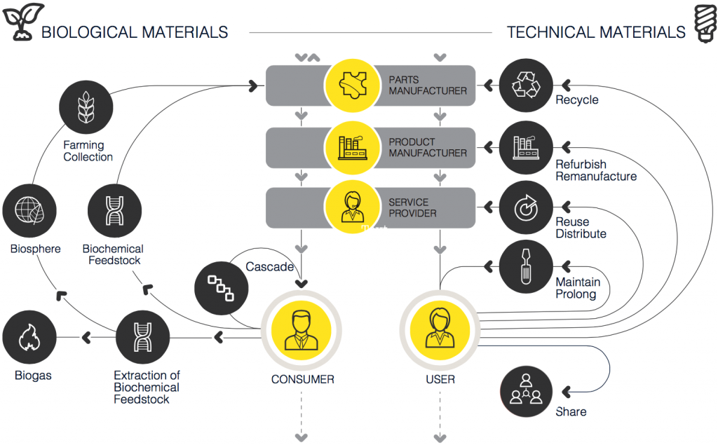 Butterfly Diagram Circular Economy