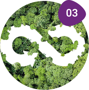 circular-chains